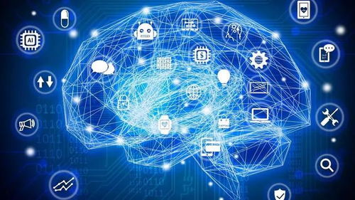 武侯教育界的硬核科技 人工智能基礎(chǔ)軟件開(kāi)發(fā)引領(lǐng)未來(lái)教育革新